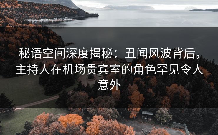 秘语空间深度揭秘：丑闻风波背后，主持人在机场贵宾室的角色罕见令人意外