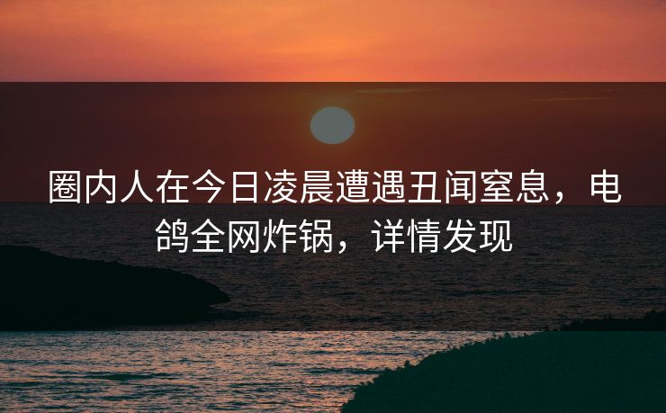 圈内人在今日凌晨遭遇丑闻窒息，电鸽全网炸锅，详情发现